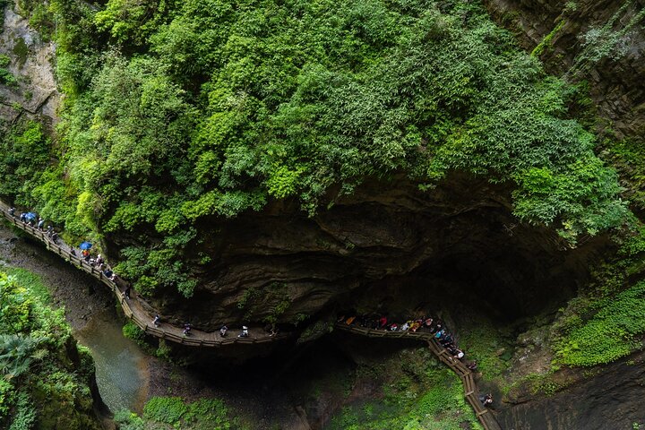 Wulong Private Tour All Inclusive: Premium Vehicle & local Lunch