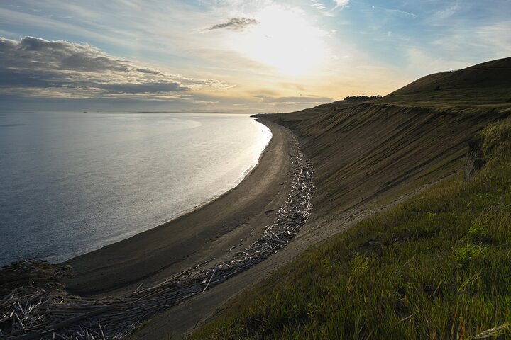 Scenic Coast and Wildlife Tour