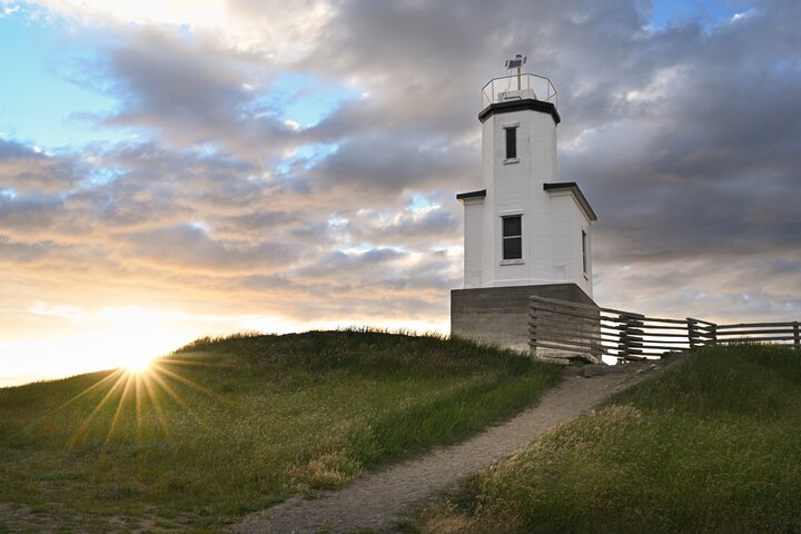 Scenic Coast and Wildlife Tour