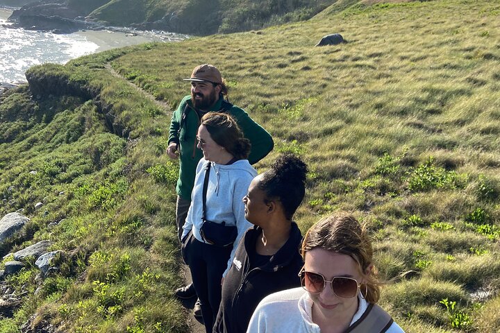 Scenic Coast and Wildlife Tour