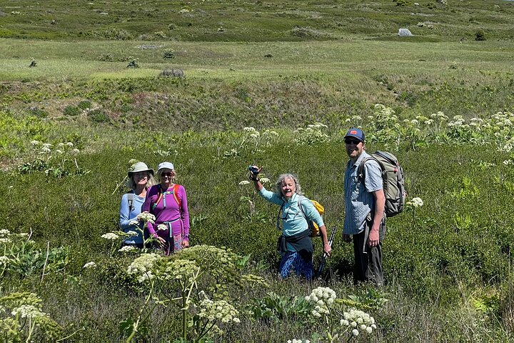Scenic Coast and Wildlife Tour