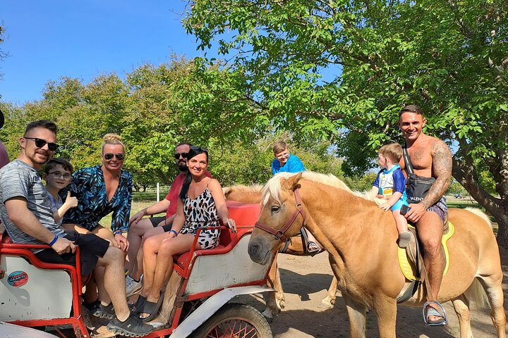 The OFFroad Adventure