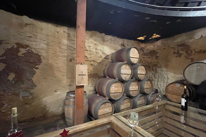 Private Deluxe Wine Tour to Valle de Guadalupe by Luxury Vehicle