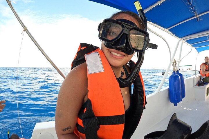 Cancun, Isla Mujeres and Riviera Maya: Swim with whale sharks!