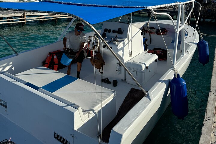 Cancun, Isla Mujeres and Riviera Maya: Swim with whale sharks!