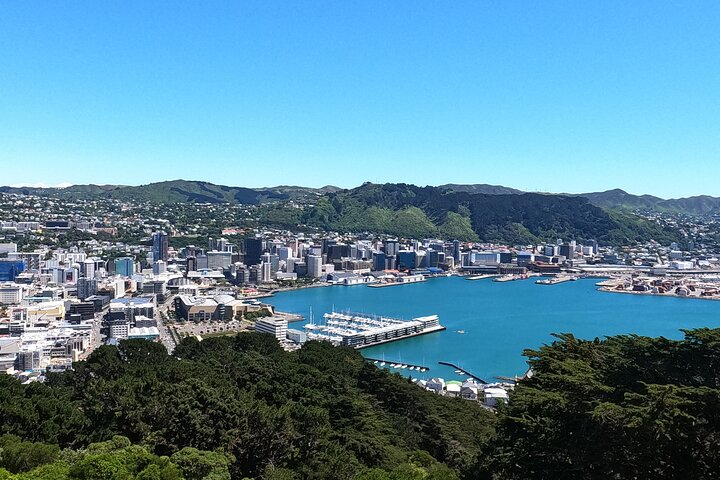 Wellington's Original HD LOTR Experience - includes Weta Tour