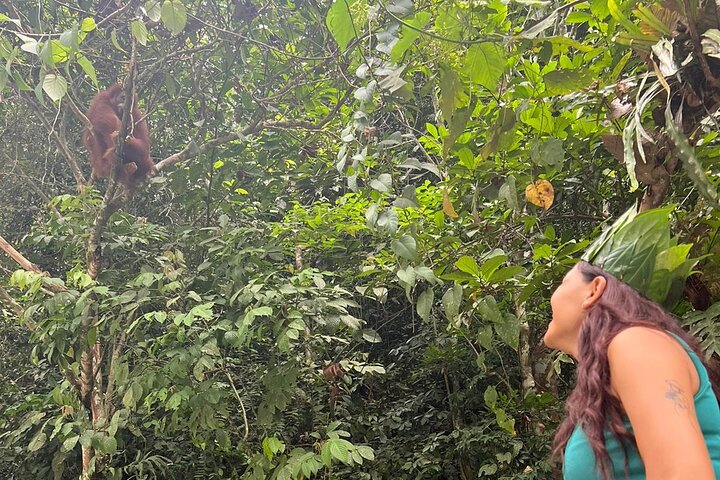 3 Days Orangutan Sumatra Jungle Trekking with Rafting