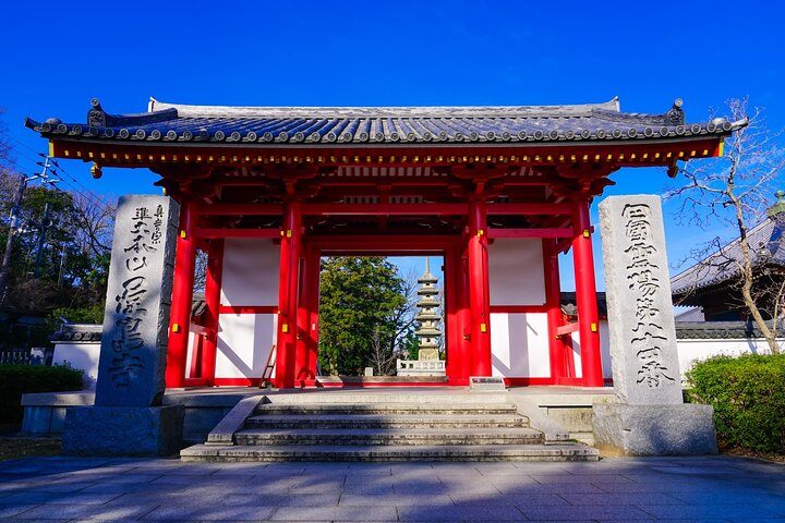Essence of Takamatsu: Udon, Gardens, and Local Charm