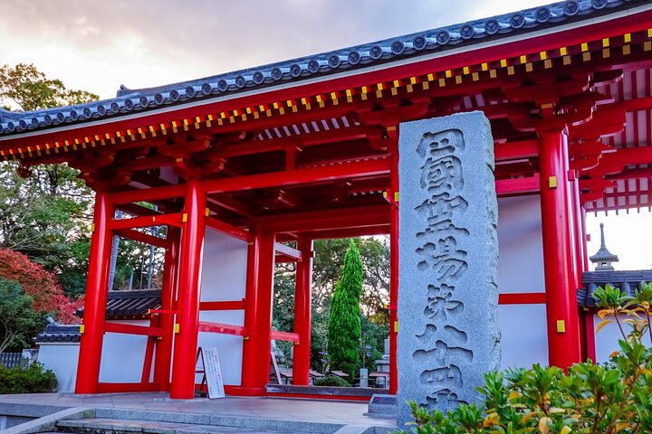 Essence of Takamatsu: Udon, Gardens, and Local Charm