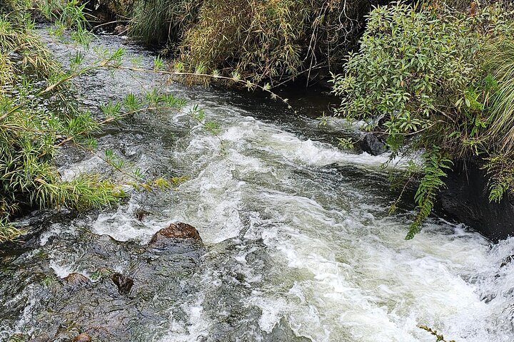 Papallacta Hot Springs: Relax in Ecuador’s Andes Mountain Range