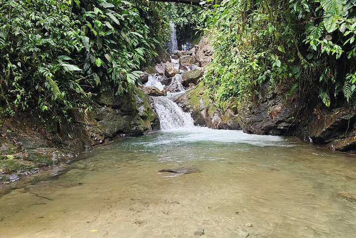 Mindo Cloud Forest: Hummingbirds, Birding & Waterfall Tour