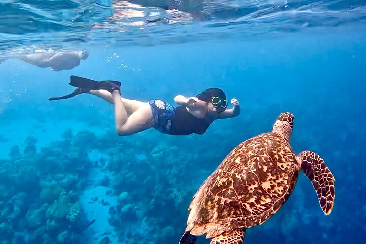 Snorkel Adventure at Bonaire Marine Park