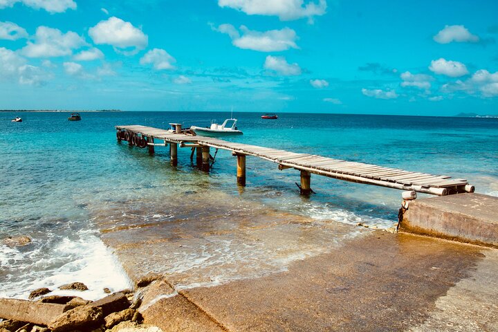 Snorkel Adventure at Bonaire Marine Park