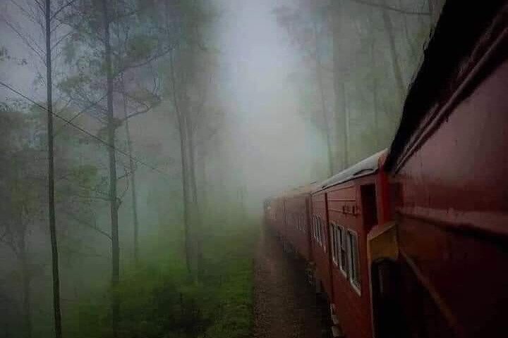 Day trip to ELLA & LIPTON's SEAT with Train Ride [ALL INCLUSIVE]