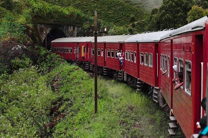 Day trip to ELLA & LIPTON's SEAT with Train Ride [ALL INCLUSIVE]
