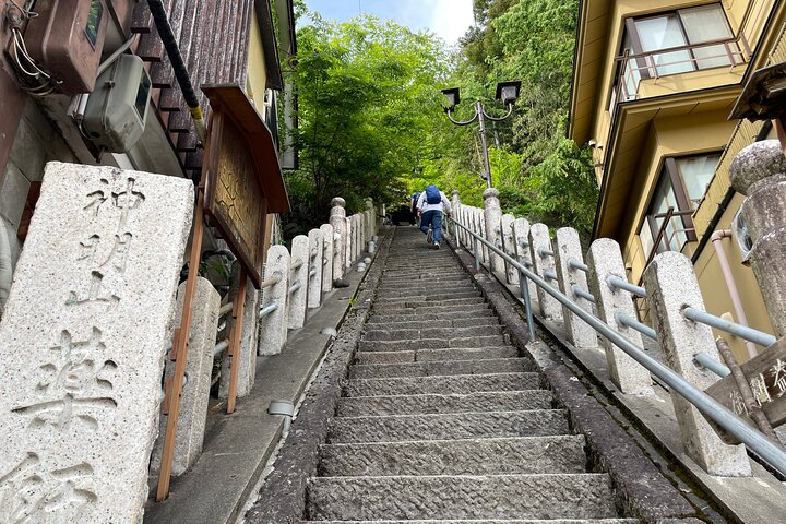 Relaxed Snow Monkeys & Shibu Onsen: Green Season Private Tour