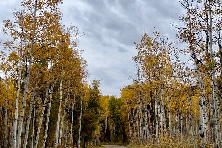 Park City: Family Friendly Xpedition Adventure (5 Seater)