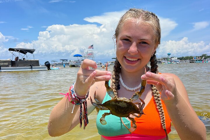 3 Hour Crab Island Tour from Destin Non-Private with Floats