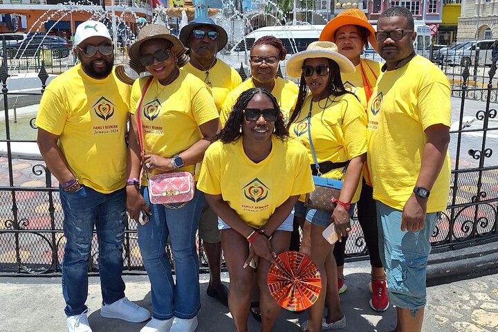 3 Hours Private Tour in Montego Bay From Falmouth