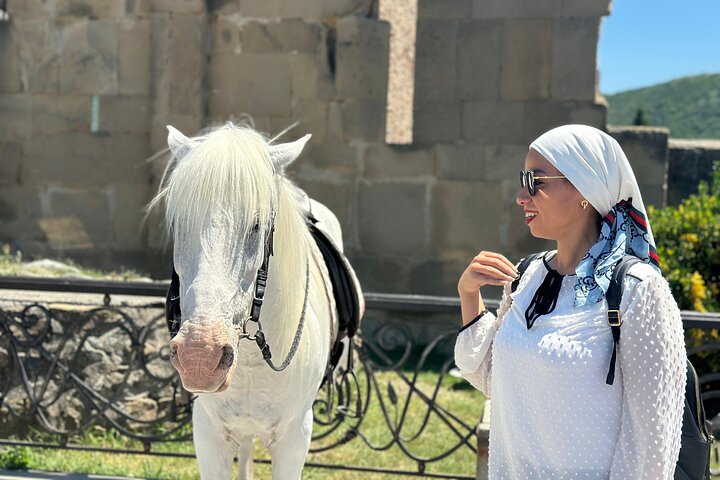 Tbilisi:Mtskheta,Jvari,Bazaar,wine tasting,Chronicles of Georgia