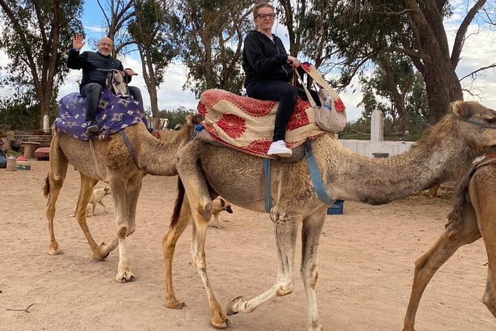 2 Hours Private Camel Ride in Agadir