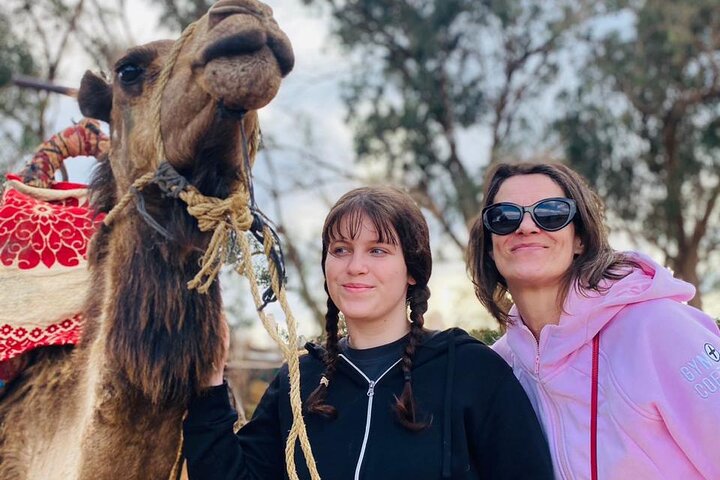 2 Hours Private Camel Ride in Agadir
