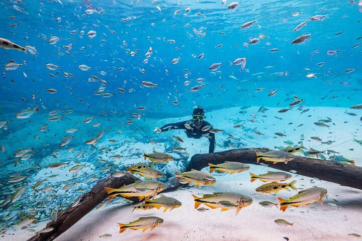 Skip the Line:Recanto Ecologico Rio da Prata Ticket including Trail & Snorkeling