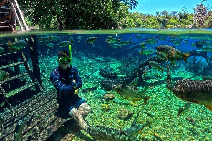Skip the Line:Recanto Ecologico Rio da Prata Ticket including Trail & Snorkeling