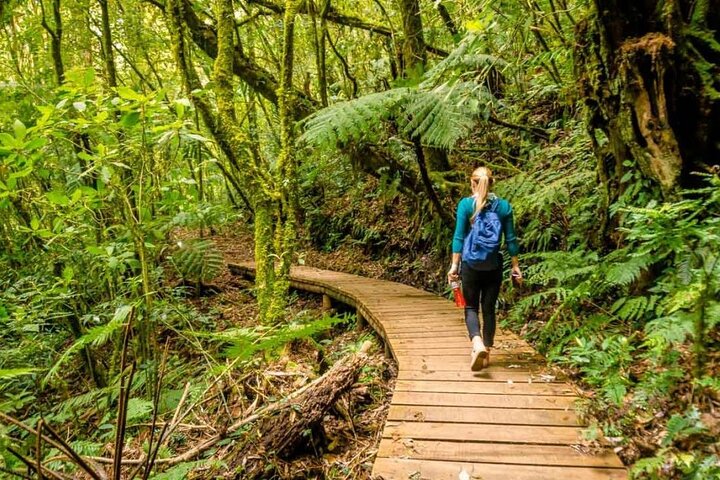 La Tigra Cloud Forest Hiking Adventure