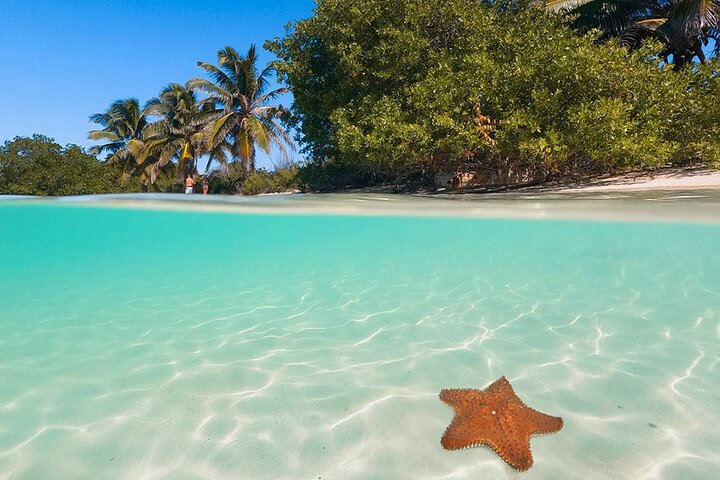 Contoy Island Tour from Cancun and Isla Mujeres with Snorkeling