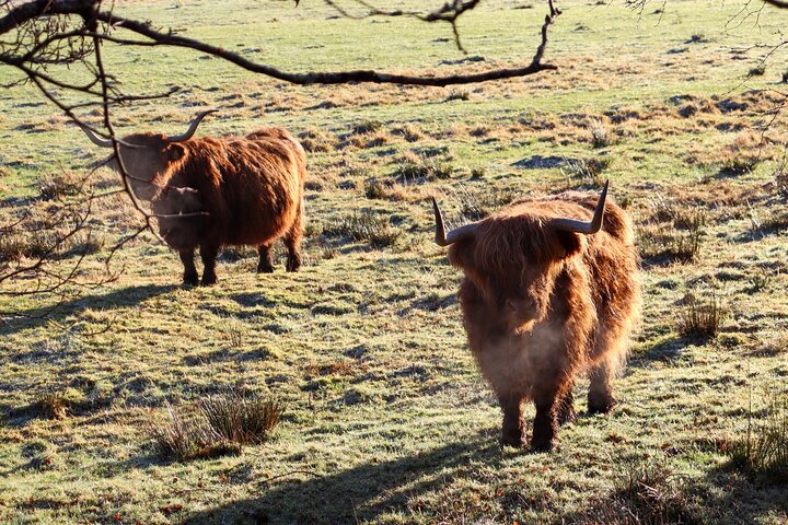 Private Tour from Oban - Highlands, Glencoe, Lochs & Castles