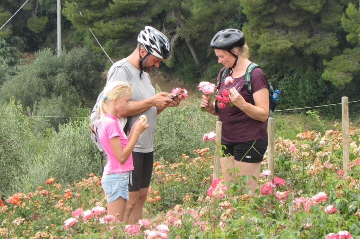 Small Group E-bike Tour in the Ligurian Riviera with Lunch
