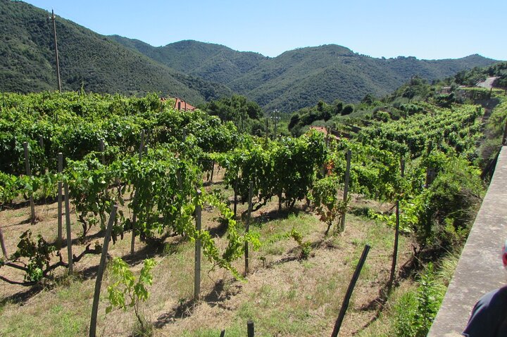 Small Group E-bike Tour in the Ligurian Riviera with Lunch