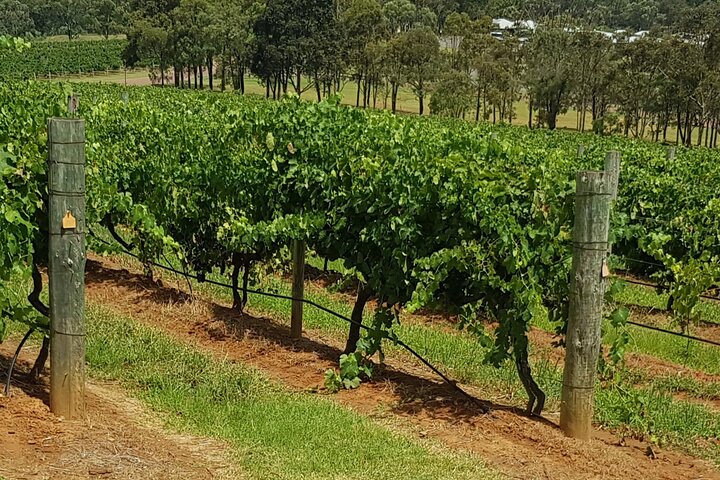 Full Day Private Wine Tour Exclusively Tailored To Suit You