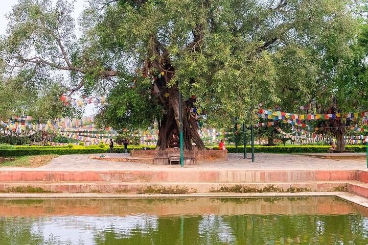 Full Day Lumbini Tour with Guide