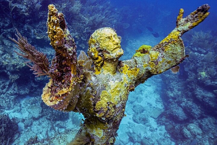 Key Largo Coral Reef Half Day Snorkel Trip