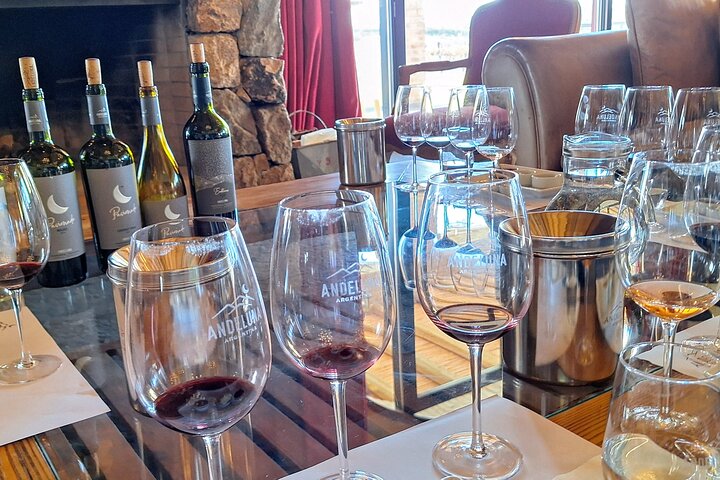 Uco Valley Wineries Day with Private Driver