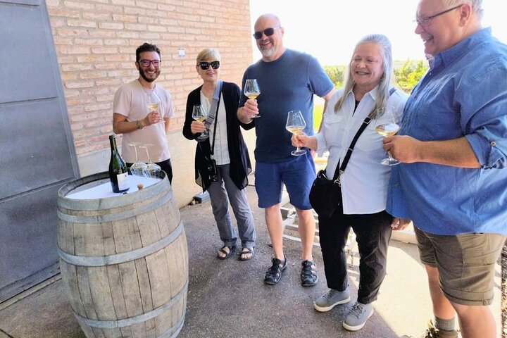 Uco Valley Wineries Day with Private Driver