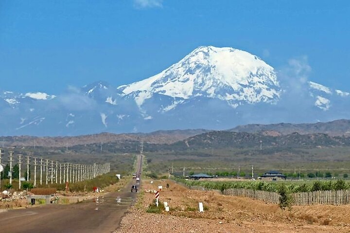 Uco Valley Wineries Day with Private Driver
