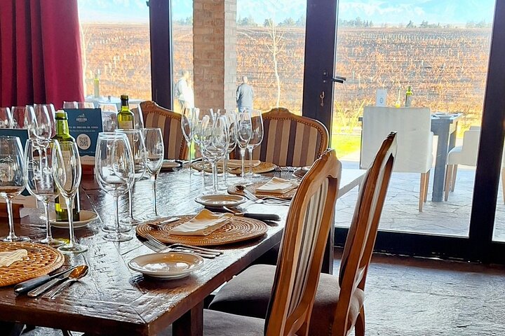 Uco Valley Wineries Day with Private Driver