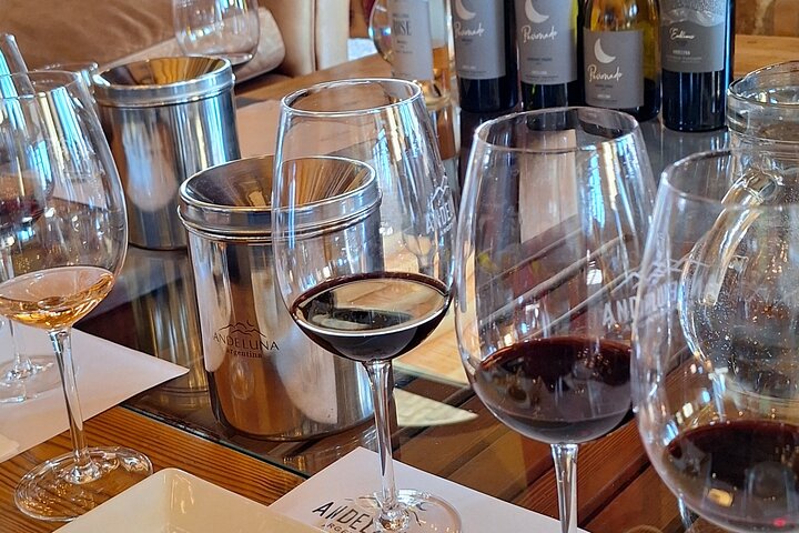 Uco Valley Wineries Day with Private Driver