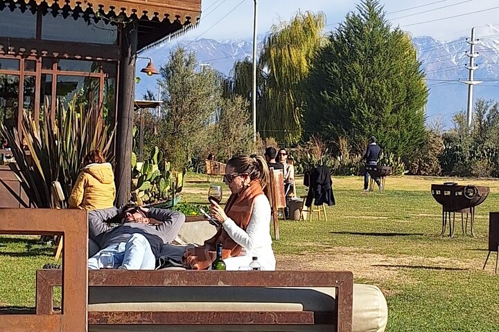 Uco Valley Wineries Day with Private Driver