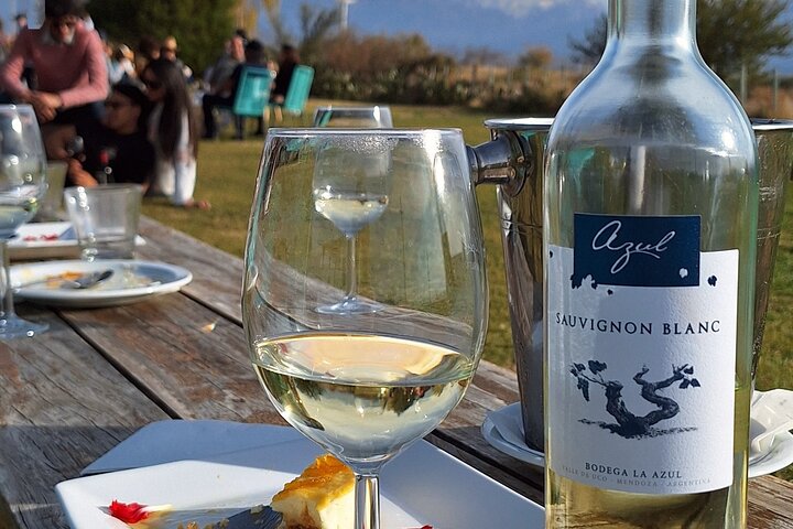 Uco Valley Wineries Day with Private Driver