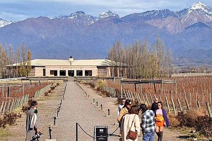 Uco Valley Wineries Day with Private Driver
