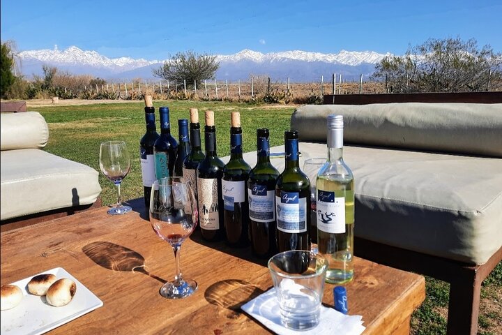 Uco Valley Wineries Day with Private Driver