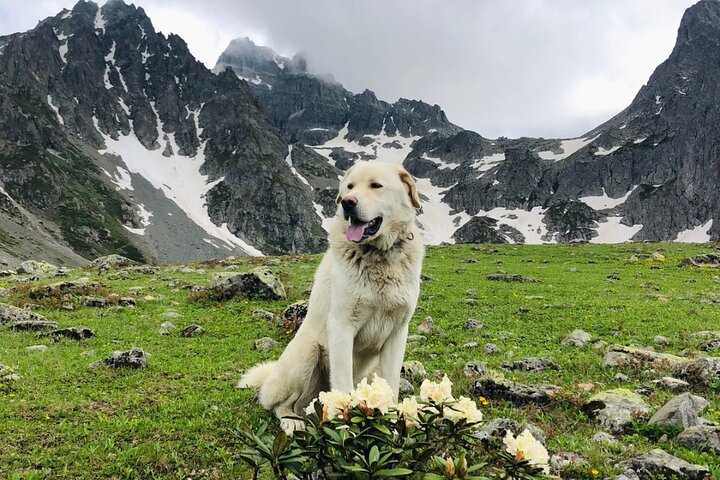 Kaçkar Mountains Glacier Lakes Huser Sunset Hiking or Trekking