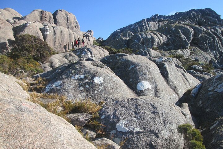 3-Day Trek Tour to Andringitra Park