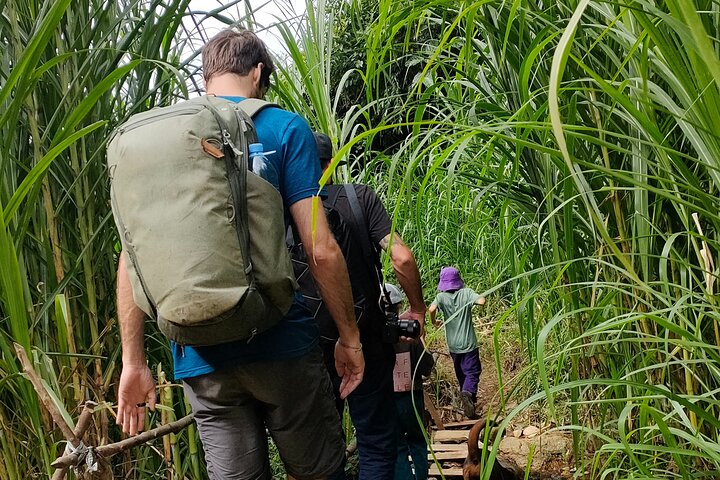 Full Day Private Trekking Mu Cang Chai