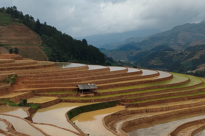 Full Day Private Trekking Mu Cang Chai