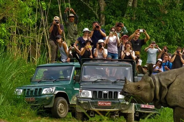 Private Jeep Safari - Canoeing - Jungle Walk in Chitwan